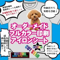 フルカラー印刷　アイロンプリントシート　オーダー　制作　ポリエステル　綿　１