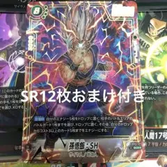 ドラゴンボールフュージョンワールド　神龍への願い　孫悟飯：SH FBD7-121