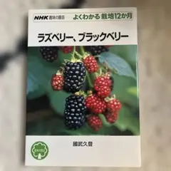 Item thumbnail for item 7ab001d1-ed3f-4ba2-8cb0-b0225f09836a