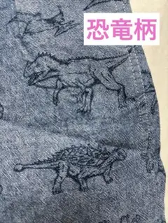 恐竜柄　ハーフパンツ　半ズボン　120
