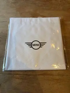 MINI PPクロストートバッグ　　縦30×幅40 マチ14のサムネイル