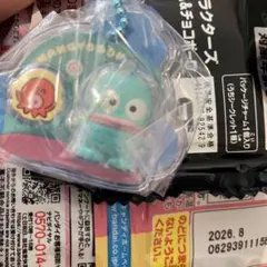 サンリオ パッケージチャーム ハンギョドン