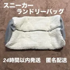 Item thumbnail for item 679a0c1f-6565-4316-937f-bf1be49b894c