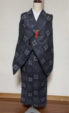 能登上布　トールサイズ　夏着物　美品 2025年最新】能登上布の人気アイテム - メルカリ