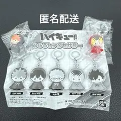 ハイキュー　めじるしアクセサリー　日向翔陽　孤爪研磨