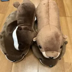 カワウソ　ぬいぐるみ　4体セット