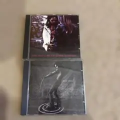 Lenny Kravitz CD 2枚セット