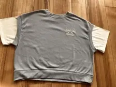 Item thumbnail for item 7829836a-880b-4cc2-8bcd-707dfcce7b75