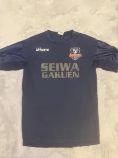 Item thumbnail for item 6987137b-75c7-4d19-a239-38159b08d29c