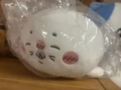 C賞 ぬいぐるみ 小 ナガノの水族館 アザラシぬいぐるみくじ