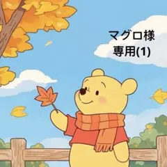 マグロ様専用(1)7点