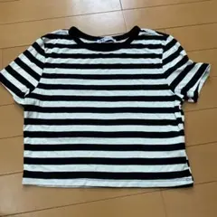 ZARA 黒と白のストライプ 半袖Tシャツ トルコ製