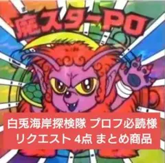 白兎海岸探検隊 プロフ必読様 リクエスト 4点 まとめ商品