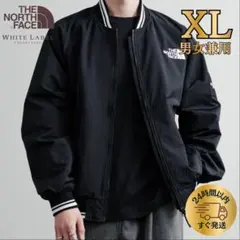 【韓国限定】THE NORTH FACE オレマEX ボンバージャケット XL