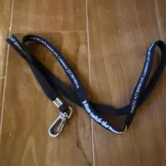 Item thumbnail for item 3654d23f-f894-4a64-bb81-3ea07a9adef5