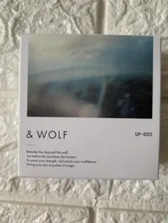 【新品】Nオーガニック　アンドウルフ　ファンデーション　UF-002