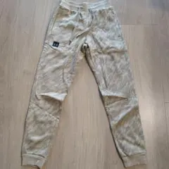 Item thumbnail for item 5f4e818a-836e-4572-ab5d-1048570df8ac