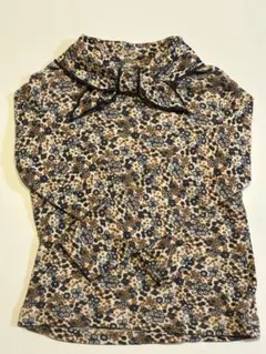 Item thumbnail for item 9e0bc1dd-c22c-419e-adff-30d82cd90a7f