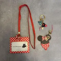【5/10まで】東京ディズニーリゾート パスケース、キーホルダーセット