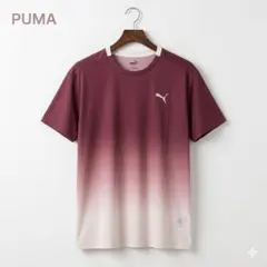 プーマ PUMA 半袖 Tシャツ XXL バーガンディ グラデーション 大きめ
