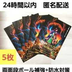 映画 약사의 혼잣말 亡妃の秘宝 チラシ フライヤー 5枚 匿名配送