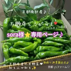 sora様⭐️専用ページです♪のサムネイル