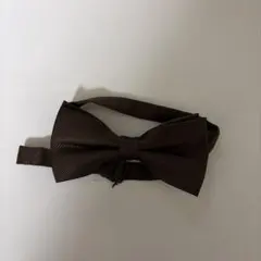 Item thumbnail for item 91b71aad-aa8d-4072-a630-06baaa31dff1