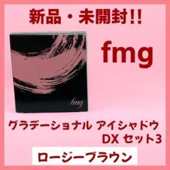 【新品・未開封】エフエムジー　グラデーショナル　アイシャドウDX　セット3