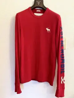 【美品】アバクロンビー&フィッチ 袖ロゴ ロンT ワッペン アップリケsサイズ
