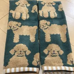 Item thumbnail for item 5ef487e8-0bb3-4b58-9c1a-ac06faddc8cb