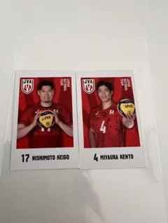 Item thumbnail for item f12df72b-69ce-4c59-acf0-7cc90003712a