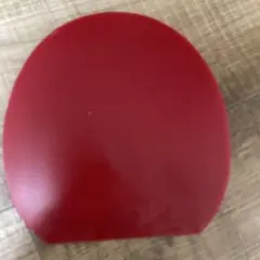 Butterfly Dignics09c特厚