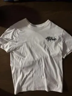 次*家様 Stussy ロゴ入り ホワイトTシャツ 新品