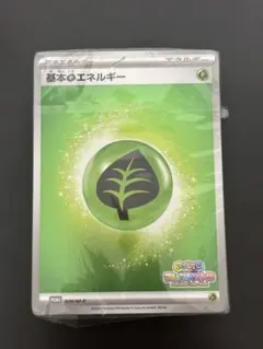 ポケカ いっしょにフレンドバトル 全種未開封品