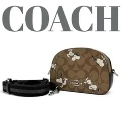ぴすけ　COACH x A BATHING APE ショルダーバッグ ぴすけ様専用 COACH x A BATHING APE ショルダーバッグ - メルカリ