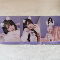 イコラブ ＝LOVE 大谷映美里 7周年 猫衣装 生写真 コンプ - メルカリ