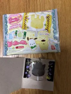 サンリオキャラクターズ　キャンディチャームズ　グミ