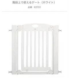 Item thumbnail for item 1bd01874-3ccc-42e3-b264-29a511b61f0b