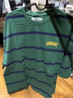 INHERIT DAYLINE M グリーン ストライプ Tシャツ