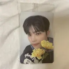 ZB1 ゴヌク トレカ