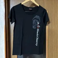 2025年最新】Acid Black cherry ロゴの人気アイテム - メルカリ