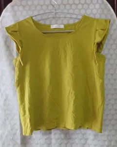 マスタードMサイズ