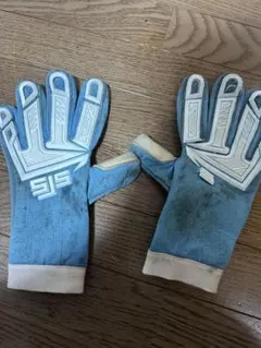 sjsキーパーグローブ 9号 ケース付き