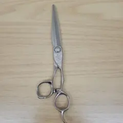 2026年最新】ミズタニシザー 7インチの人気アイテム - メルカリ