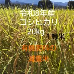 令和8年 新米 コシヒカリ 玄米30kg（白米27キロ）埼玉北川辺産 特別