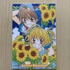 りぼん付録　サマーポストカード8枚セット（平成レトロ）