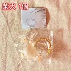 【柴犬 1個】うちの子のけだまだま 犬のけだまだま