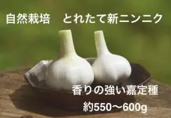 【B品】嘉定ニンニク7.5kg 種球用　 自家採種　自然乾燥 嘉定ニンニク900g 種球用 種用 割球済 自家採種 自然乾燥 - メルカリ
