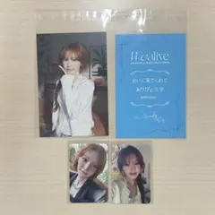 ○非売品◇直筆サインCD◇WEi◇Wonderland◇国内発送 - メルカリ