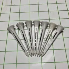 Item thumbnail for item 1c400c5a-2f64-456b-8a28-653a2b40f5b6